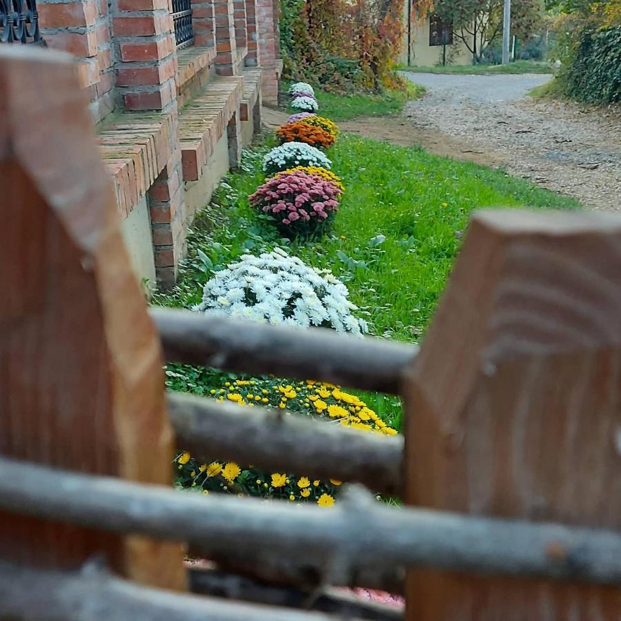 Etno Kuca Todorovic Villa Smederevo Exterior photo